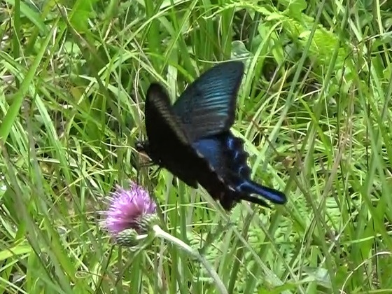 �`���E�`��