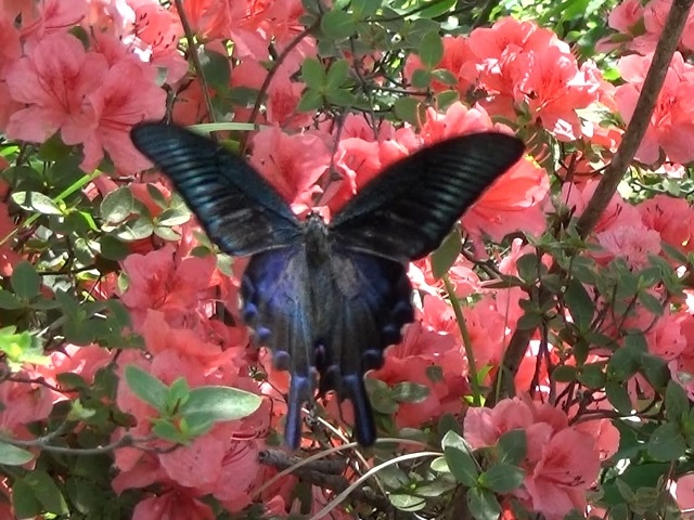 �`���E�`��