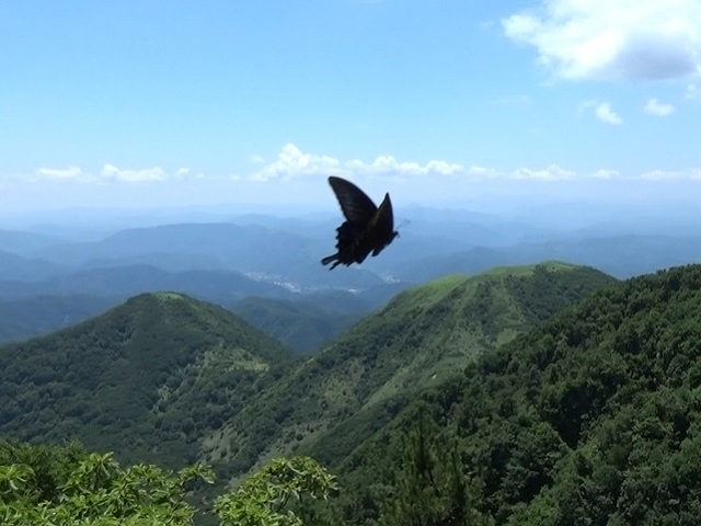 �`���E�`��