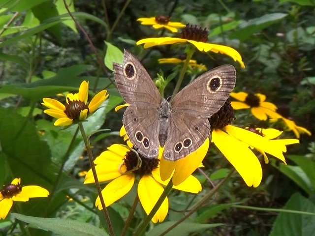 �`���E�`��