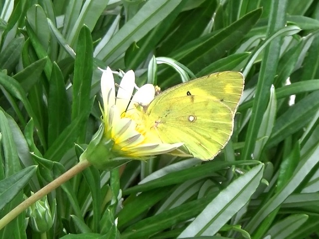 �`���E�`��