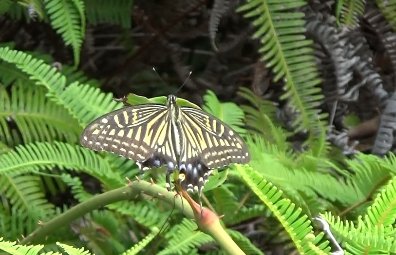 �`���E�`��