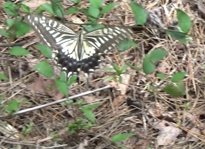 �`���E�`��