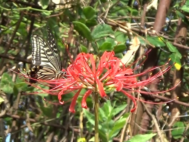 �`���E�`��