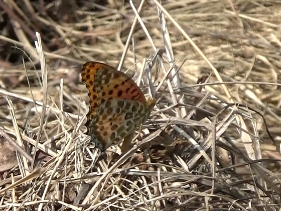 �`���E�`��