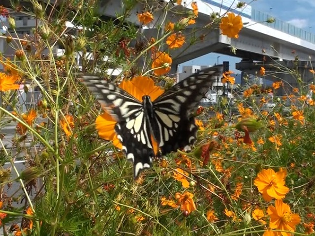 �`���E�`��