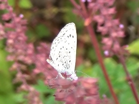 �`���E�`��