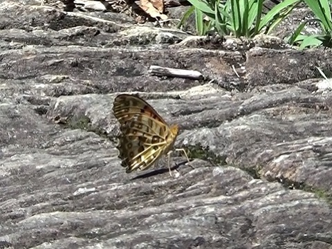 �`���E�`��