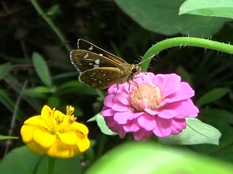 �`���E�`��