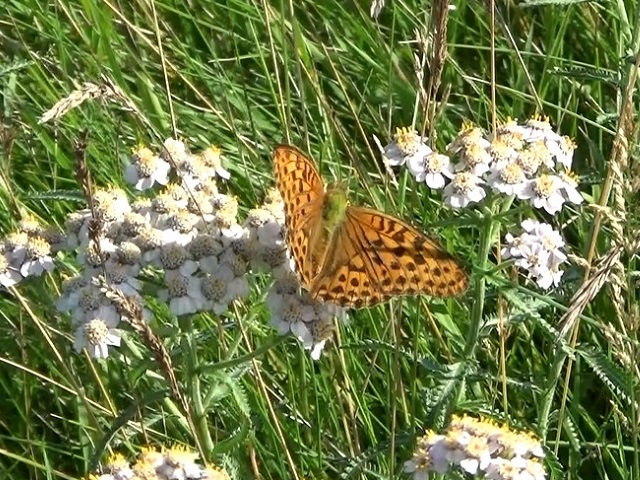 �`���E�`��