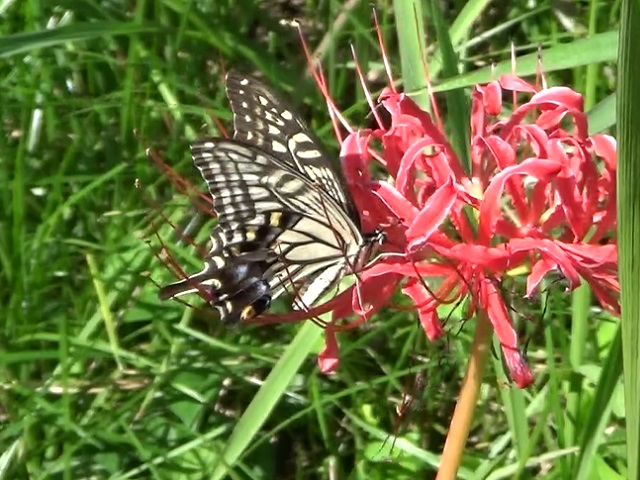 �`���E�`��