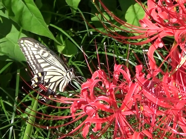 �`���E�`��