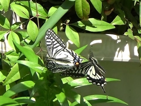 �`���E�`��