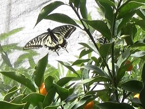 �`���E�`��