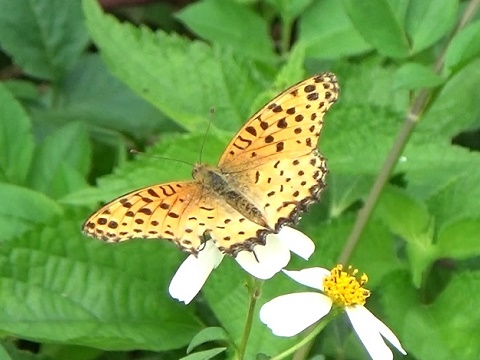 �`���E�`��