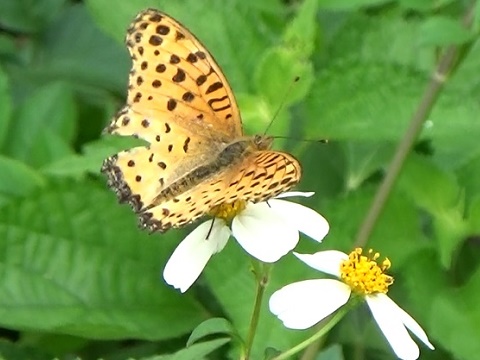 �`���E�`��