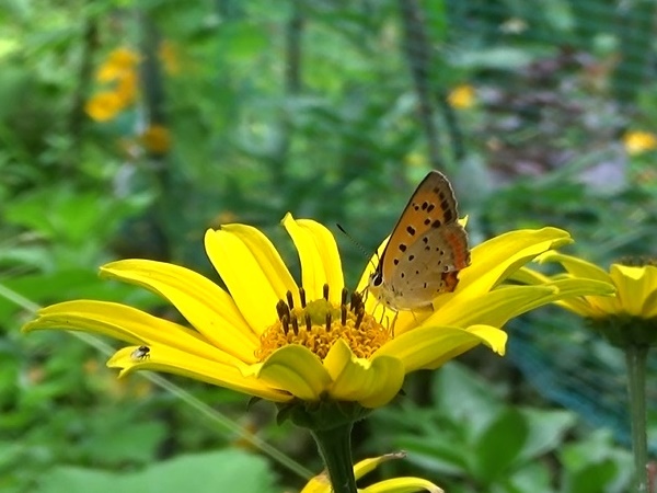 �`���E�`��