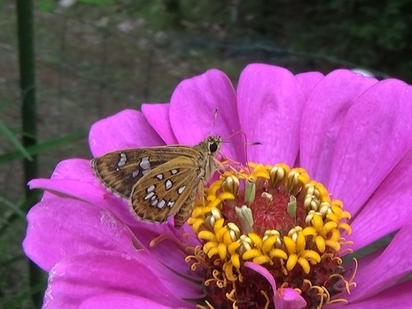 �`���E�`��