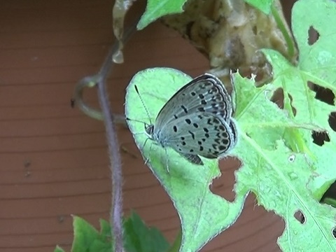 �`���E�`��