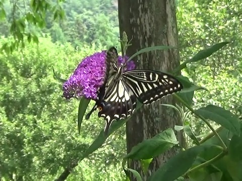 �`���E�`��