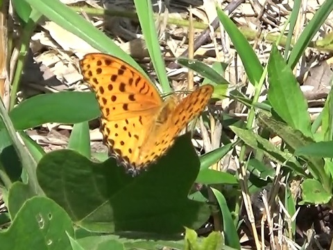 �`���E�`��