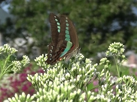 �`���E�`��