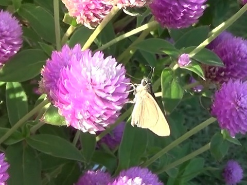 �`���E�`��