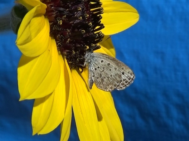 �`���E�`��