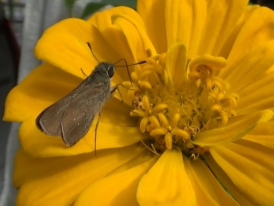 �`���E�`��