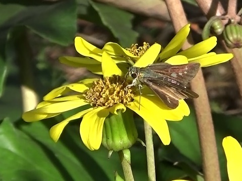 �`���E�`��