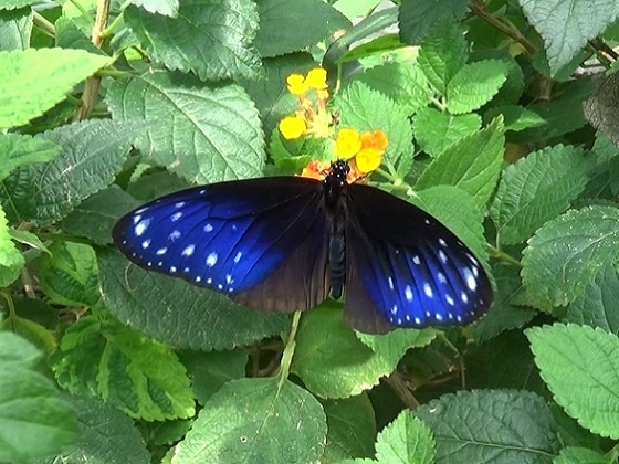 �`���E�`��