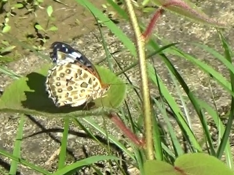 �`���E�`��