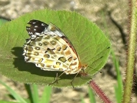 �`���E�`��