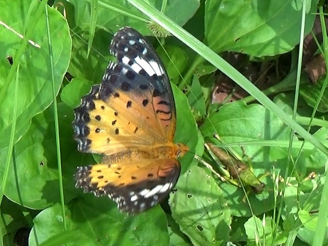 �`���E�`��