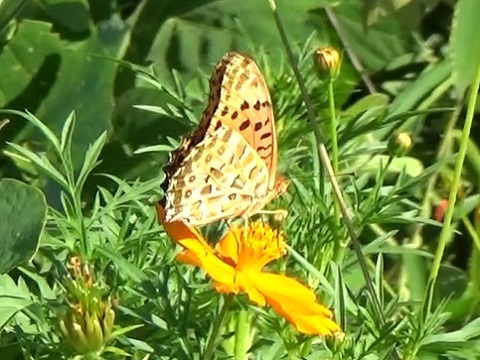 �`���E�`��