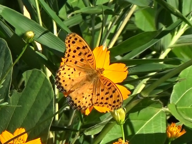 �`���E�`��