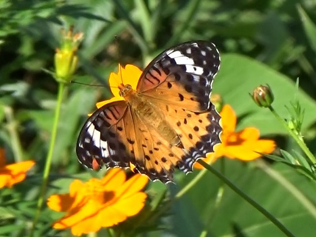 �`���E�`��