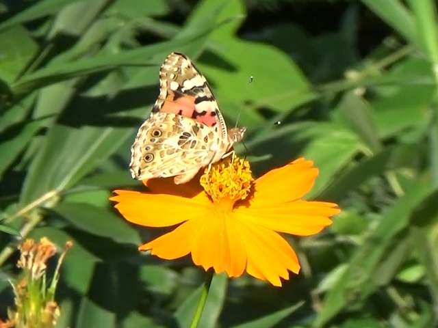 �`���E�`��