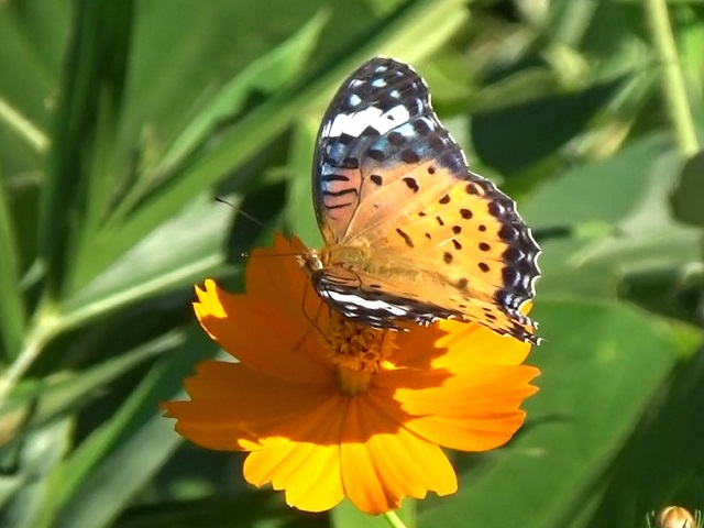 �`���E�`��