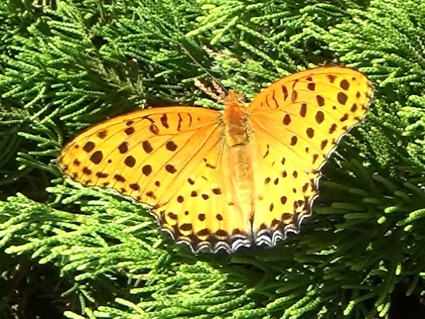 �`���E�`��