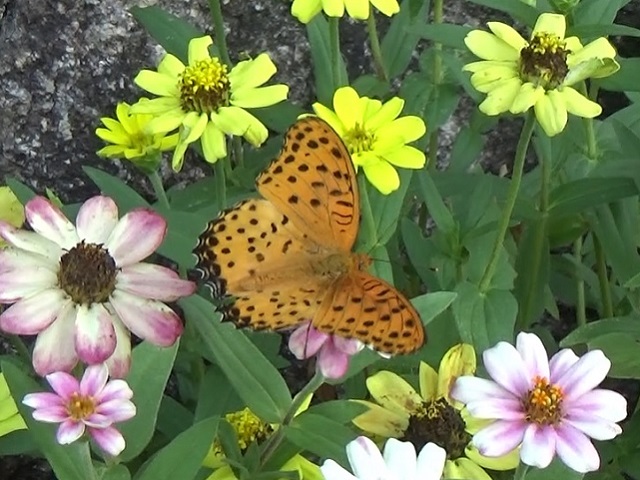 �`���E�`��