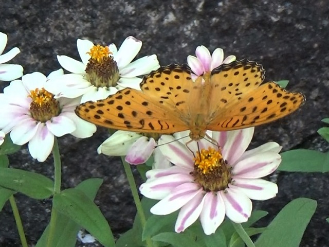 �`���E�`��