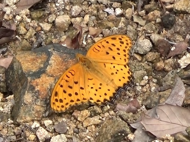 �`���E�`��