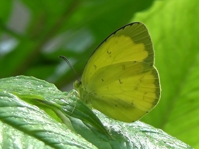 �`���E�`��