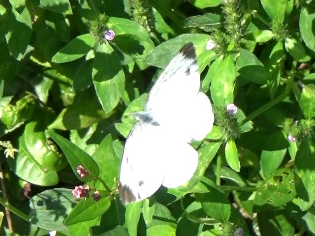 �`���E�`��