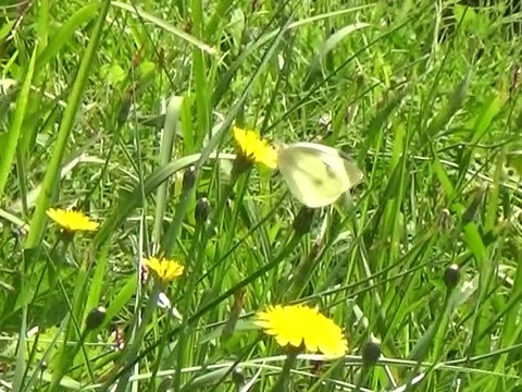 �`���E�`��