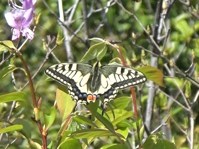 �`���E�`��