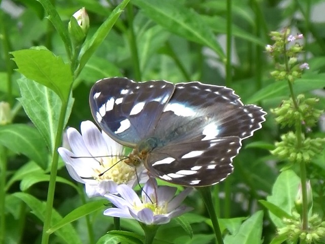 �`���E�`��