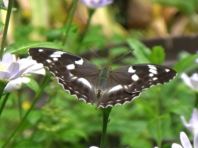 �`���E�`��