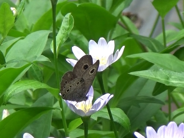 �`���E�`��